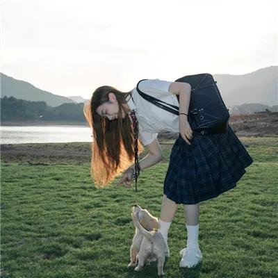 灵书妙探第五季